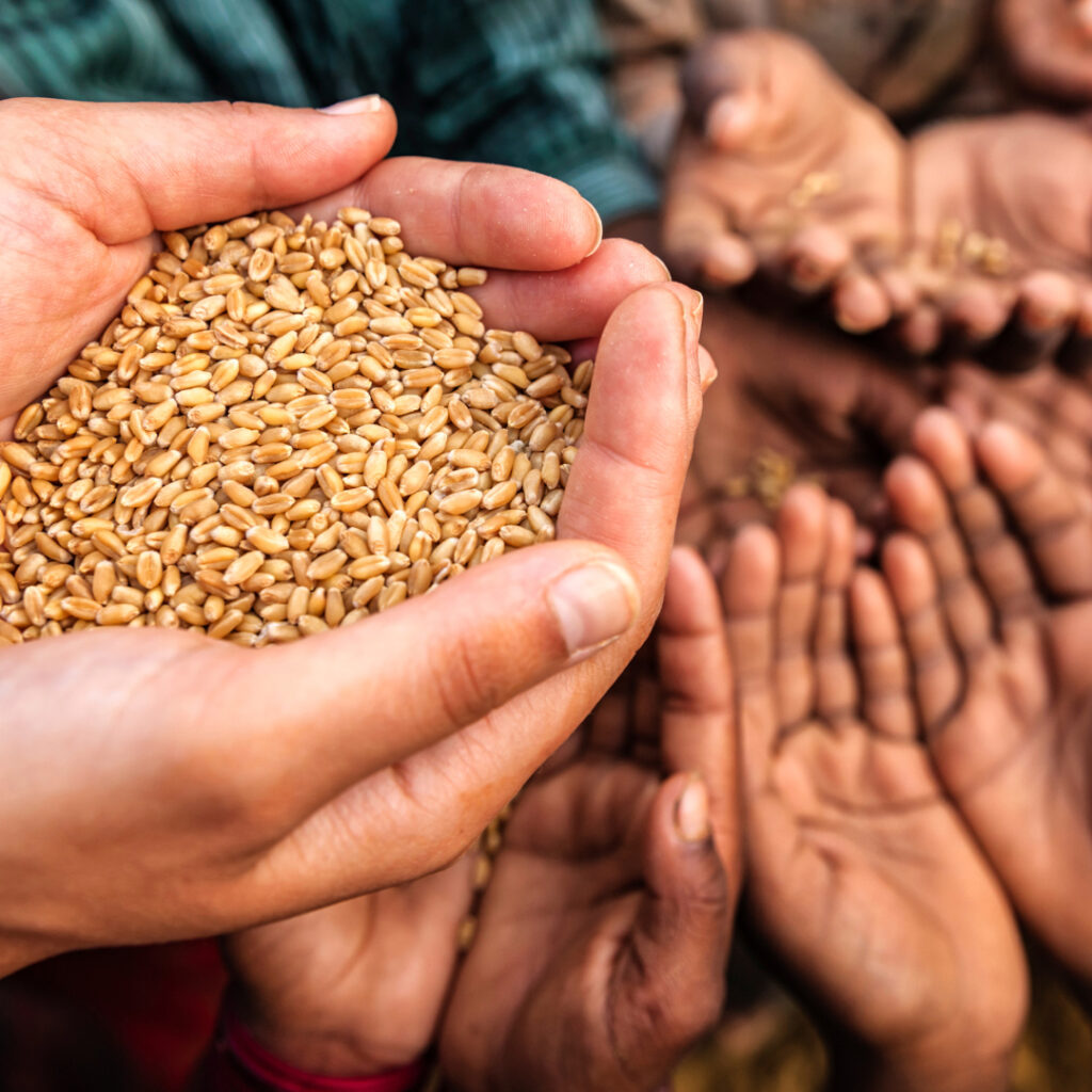 charitable trust in bangalore